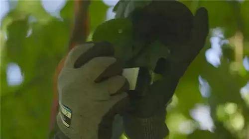 唯獨這些抓人眼球的戶外廣告才配叫創意！標識主也滿意10