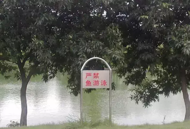 這一些沙雕標牌廣告標語，讓我站路邊笑了半天停不下來23