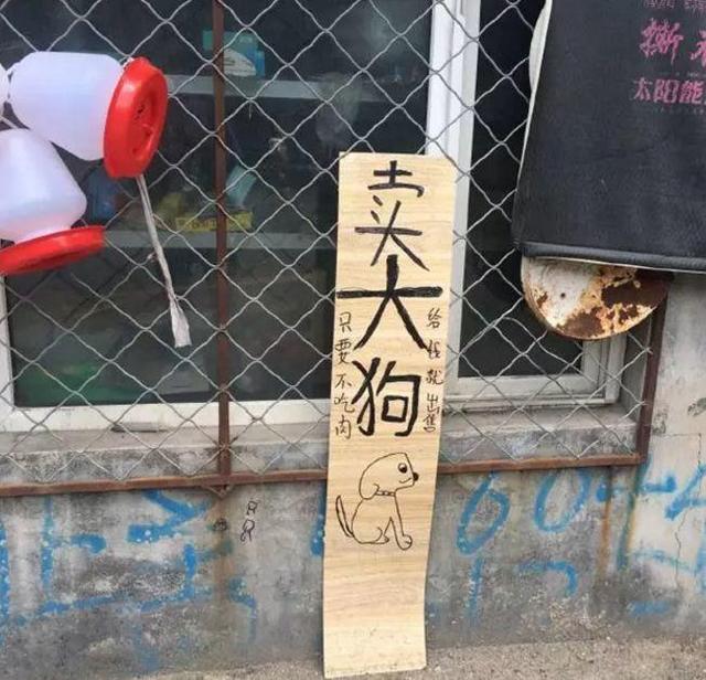 中國街道戶外廣告牌有多野？瞧瞧這些讓人笑掉大牙的品牌名20