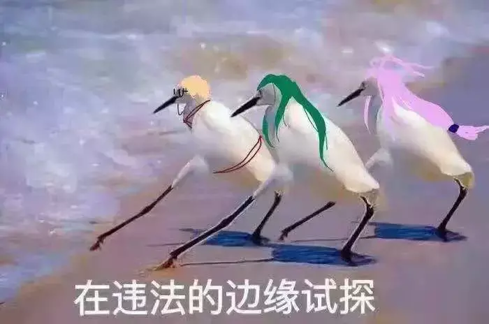 中國路邊的廣告牌匾，我能笑一年