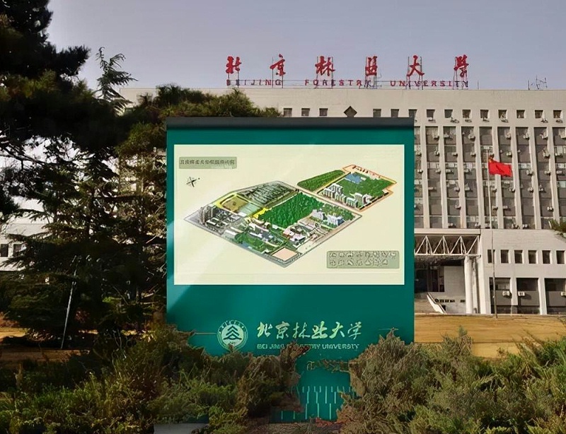 “為人而生”的都會導向標志計劃